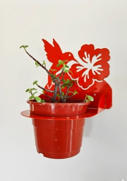 Portada del plato 'Colibri N14'