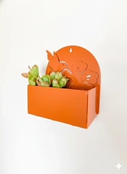 Portada del plato 'COLIBRI N8'