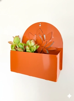 Portada del plato 'LOTO N8'