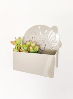 Portada del plato 'MARIPOSA N8 beige'