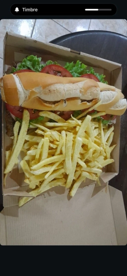 Portada del plato 'Sanwich de milanesa común'